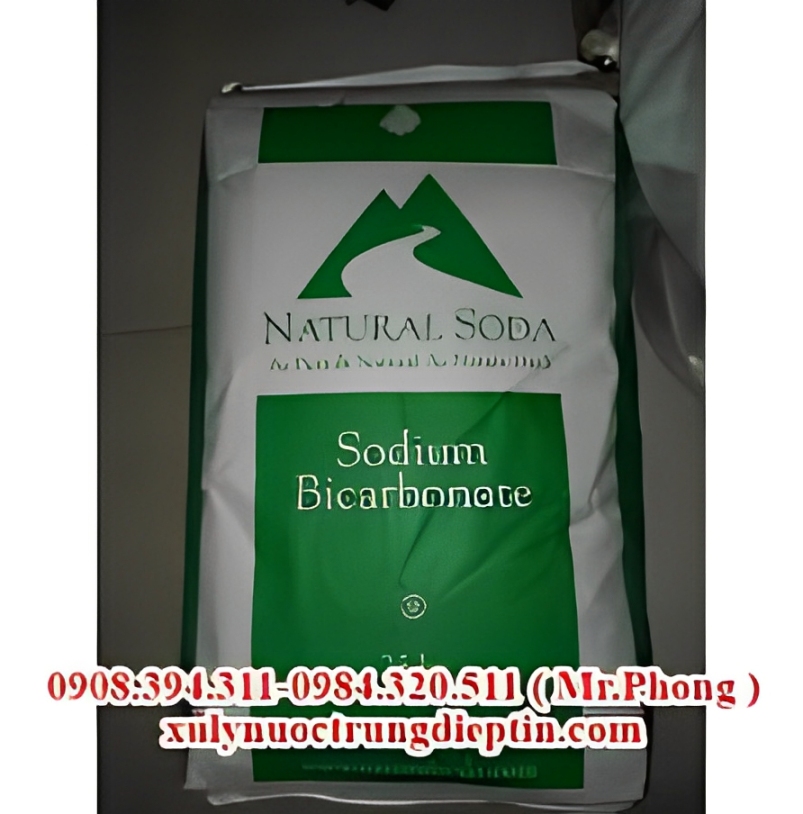 SODIUM BICARBONATE USA